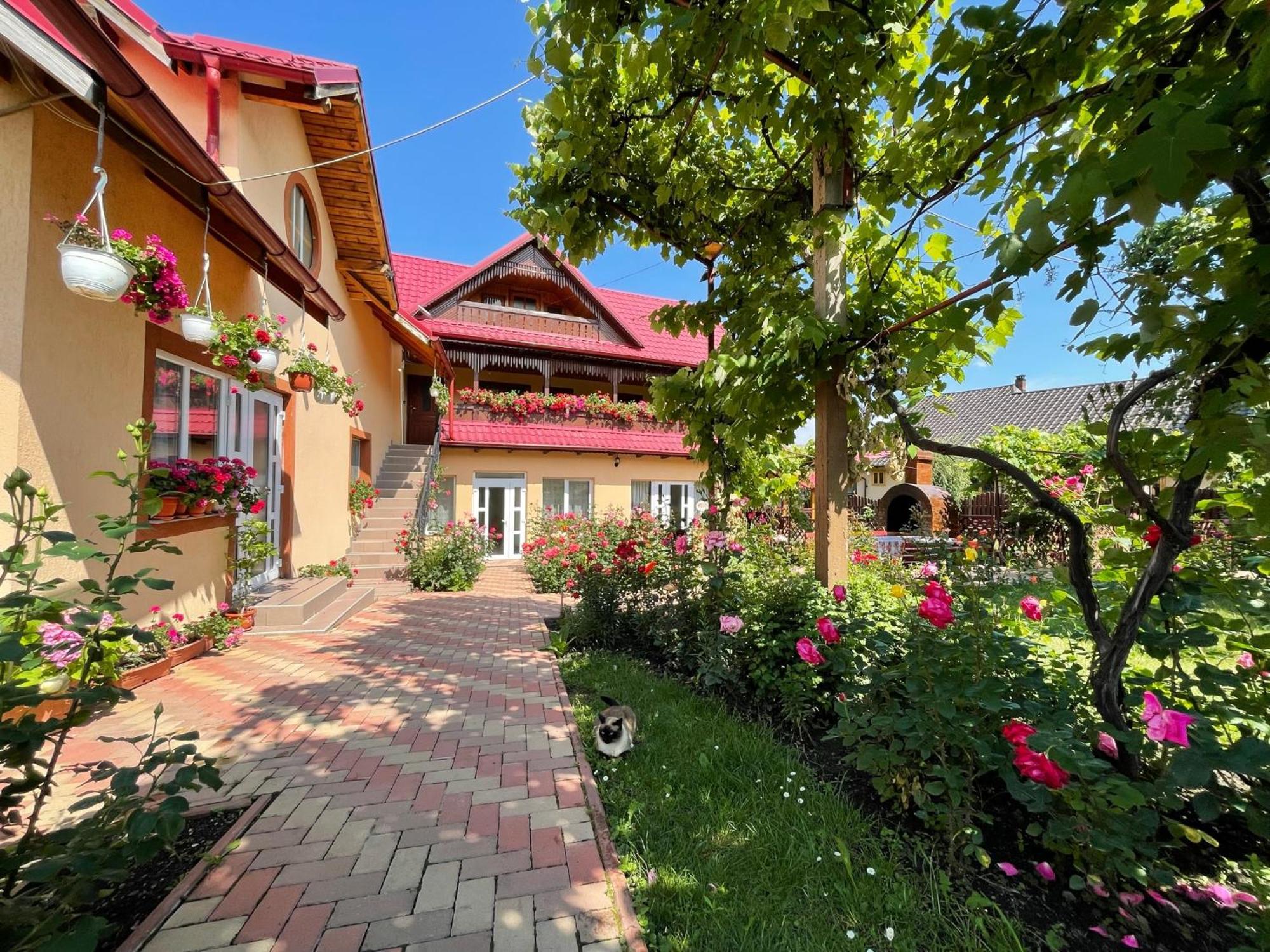 Pensiunea Alina Agapia Exterior photo